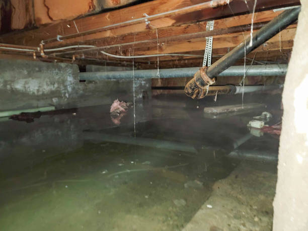 Best Water damage restoration near me  in Wright, WY