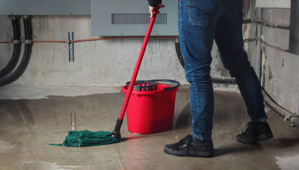 Best Water damage contractors near me  in Wright, WY