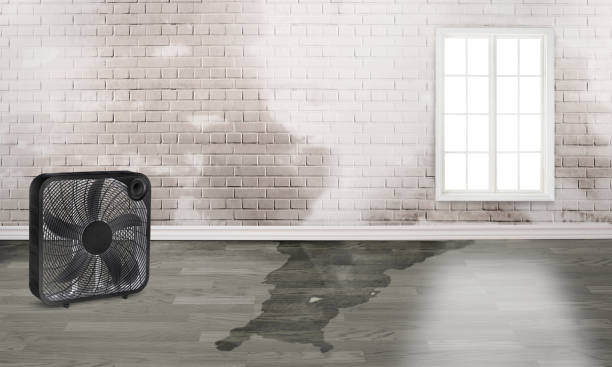 Best Commercial water damage restoration  in Wright, WY