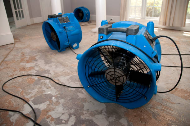 Best Residential water damage restoration  in Wright, WY