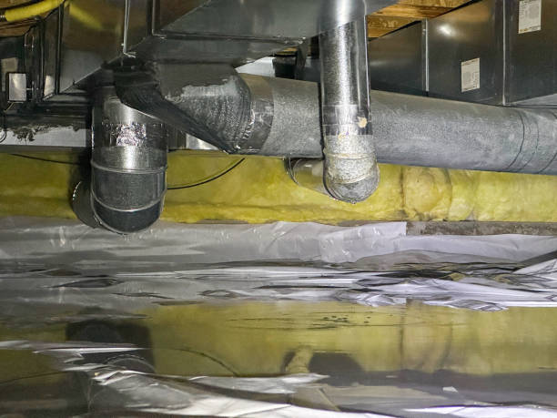 Best Ceiling water damage repair  in Wright, WY