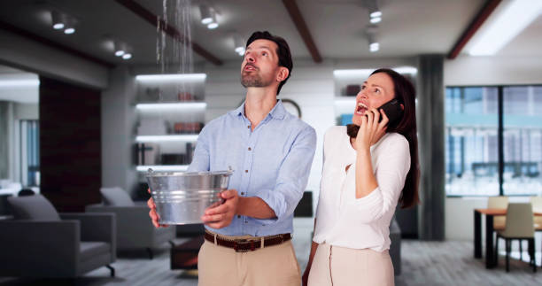 Best Local water damage restoration  in Wright, WY