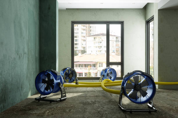 Best Water damage restoration near me  in Wright, WY